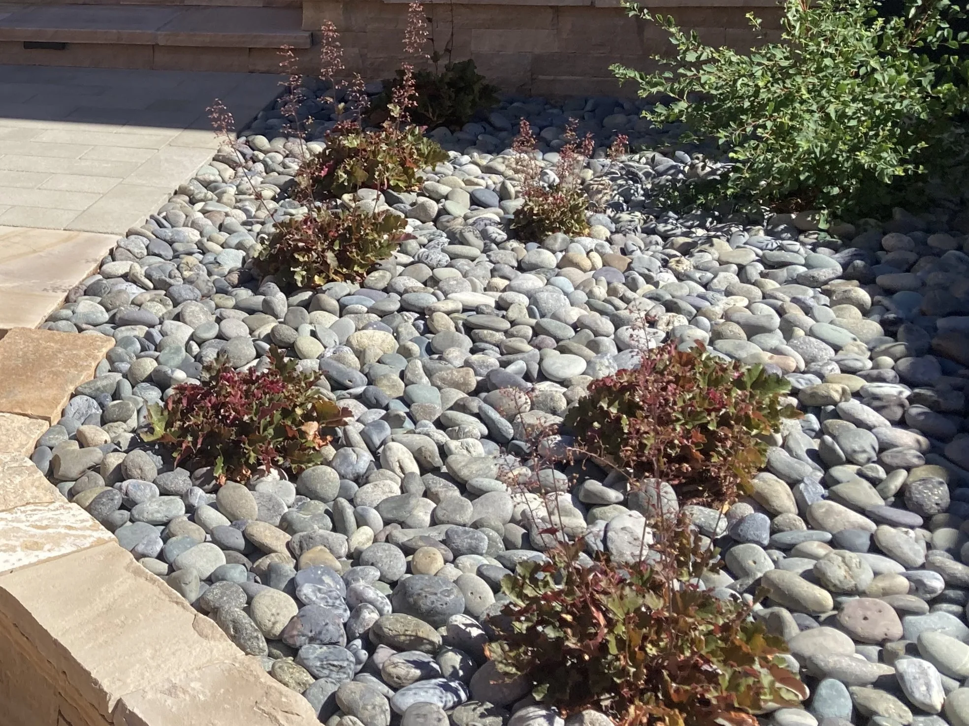 Ben Schnake, Native Edge Landscapes